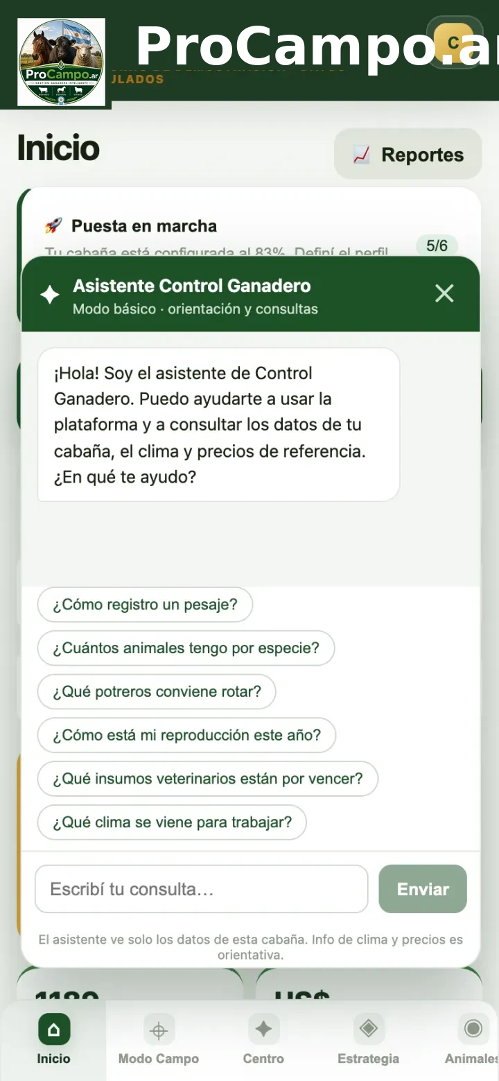 El asistente.