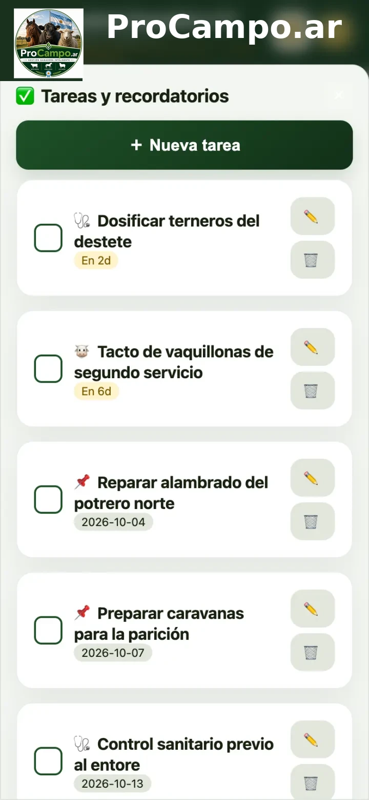 Tareas.