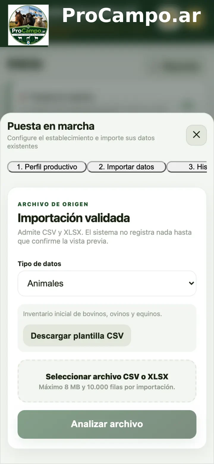 Importar datos: elegir tipo, descargar la plantilla y analizar el archivo.