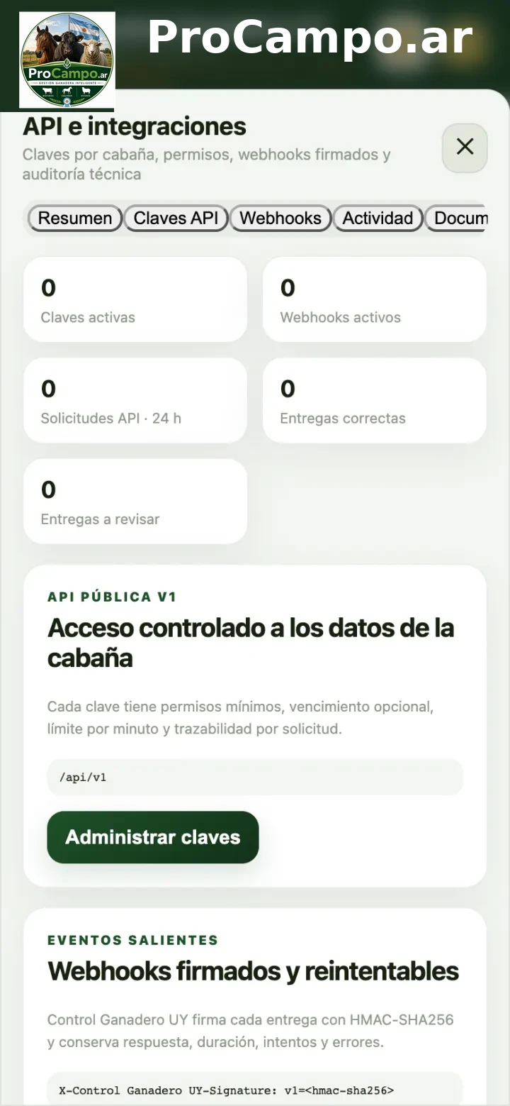 API e integraciones.