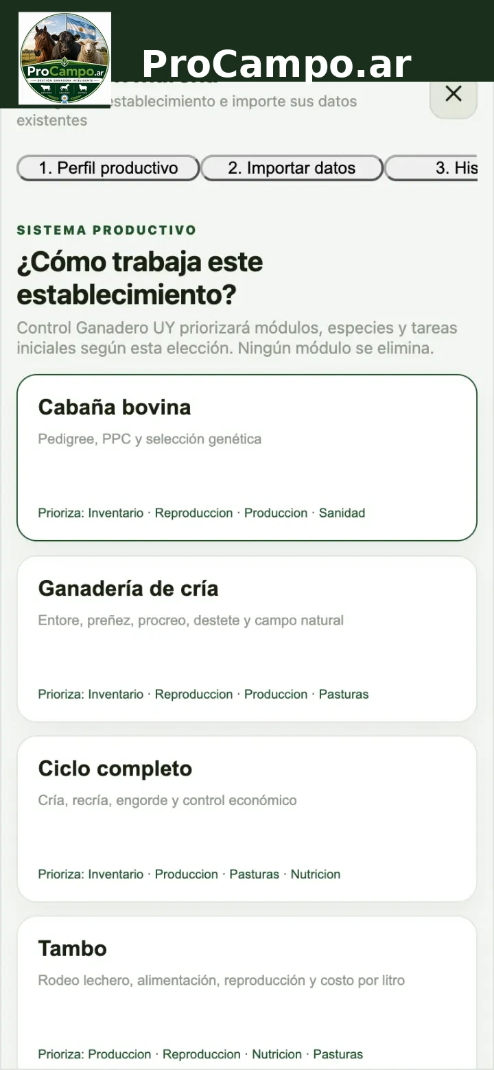 Puesta en marcha: elegir el perfil productivo.