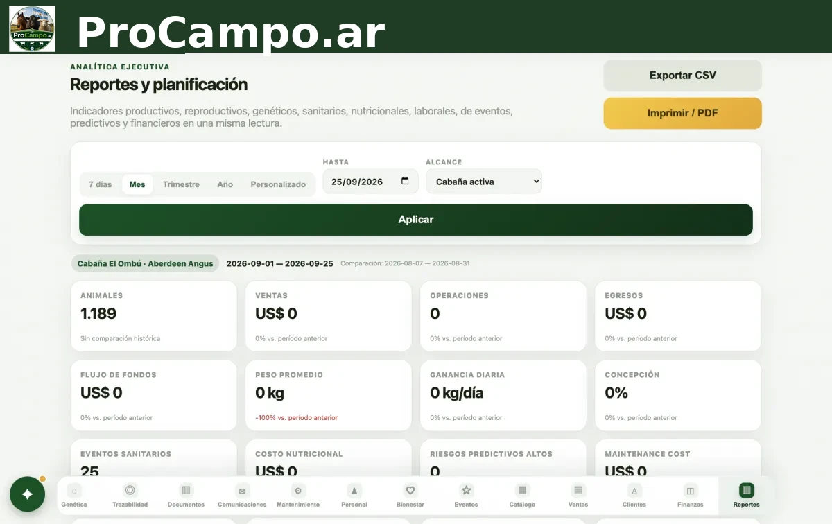 Reportes en la computadora.