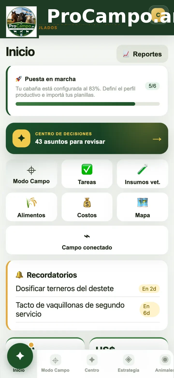 La pantalla de Inicio: puesta en marcha, prioridades y atajos.