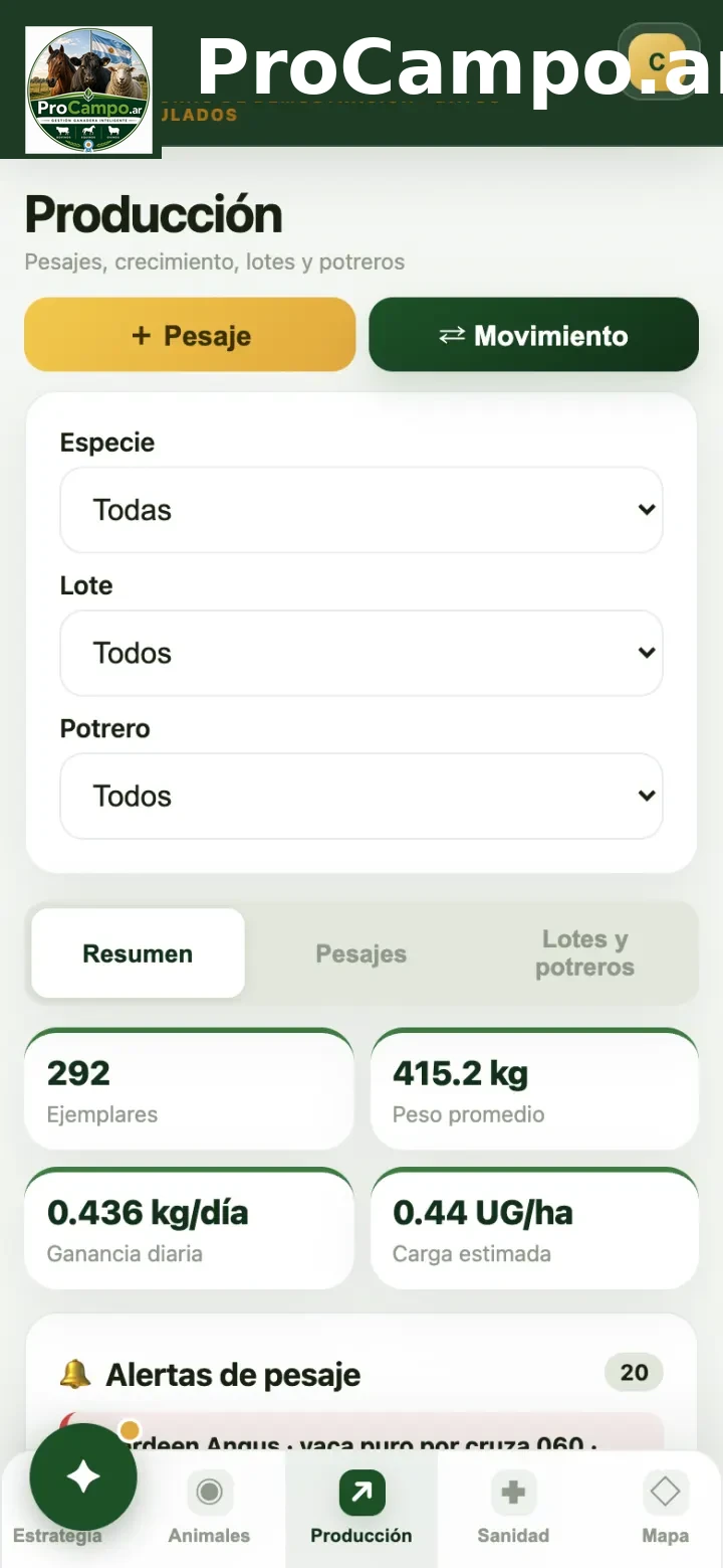 Producción en el celular.